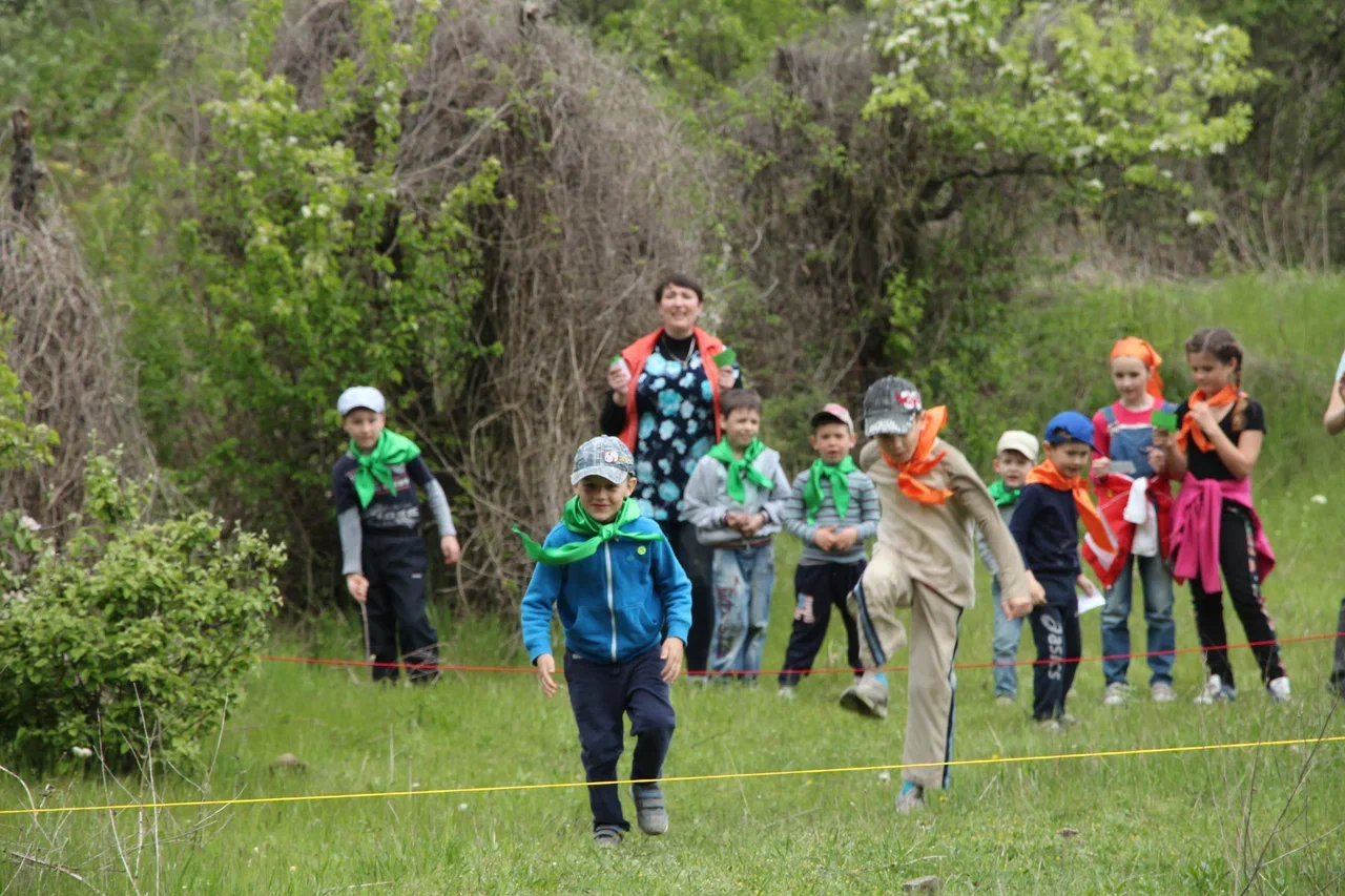 Дети в лесу