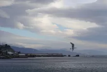 Алушта