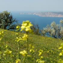 Большая Севастопольская тропа