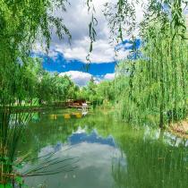 База отдыха Ангара