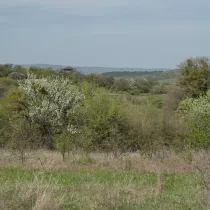 Урочище Кизил Коба