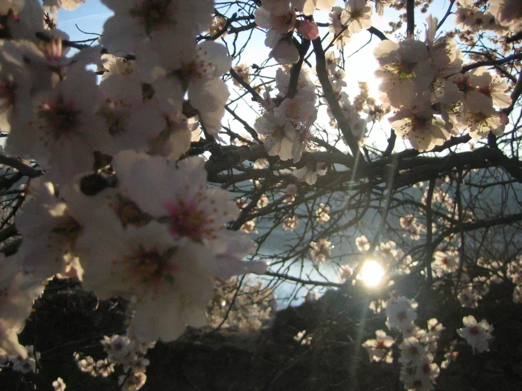 весна в Крыму